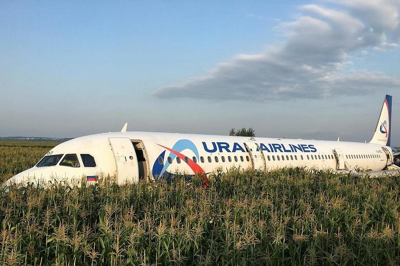 The Ural Airlines passenger plane following its emergency landing yesterday in a field near Moscow's Zhukovsky International Airport. It had collided with a flock of birds after take-off.