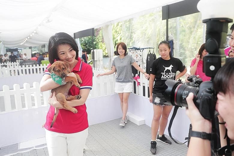 Above: Ms Sun Xueling, Senior Parliamentary Secretary for Home Affairs and National Development, with a puppy up for adoption at the inaugural Pets' Day Out event at HortPark organised by NParks yesterday. Left: Birdcraze members Emily Lee (squatting