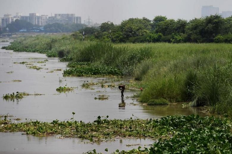 38 Dead In Monsoon In Northern India, While New Delhi On Alert | The ...