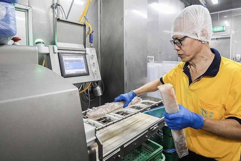 After undergoing eye surgery, Hai Sia Seafood employee Tan Teng Kwang, 64, was redeployed to the firm's processing plant, where he handles tasks such as quality assessment.