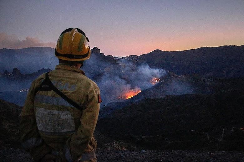 A firefighter observing flames from a forest fire in Tejeda on the Spanish island of Gran Canaria. More than 12,000ha have been charred on the western slopes of the island, but the authorities yesterday said firefighters have made progress against th