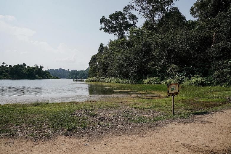 Water levels are down at MacRitchie Reservoir. Last month, the total rainfall recorded at the climate station in Changi was 92 per cent below the long-term average, breaking the record set in 1997 for the driest July in Singapore.