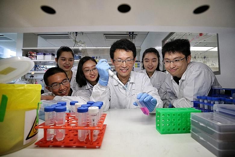 Professor Kang Zhou (centre) and Dr Xiaoqiang Ma (right) with team members (from left) Poon Ngayu, Liu Yurou, Liang Hong and Cui Xiaoyi. The team has developed a faster and cheaper way to create genetic material used in the research of disruptive agr