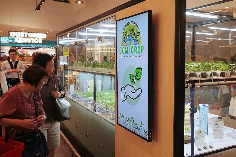 FairPrice Xtra at VivoCity is set to blow the competition away with its unusual offering of goods and services. The supermarket sells an assortment of live seafood (above). Vegetables are grown in a greenhouse in the supermarket, and harvested and so