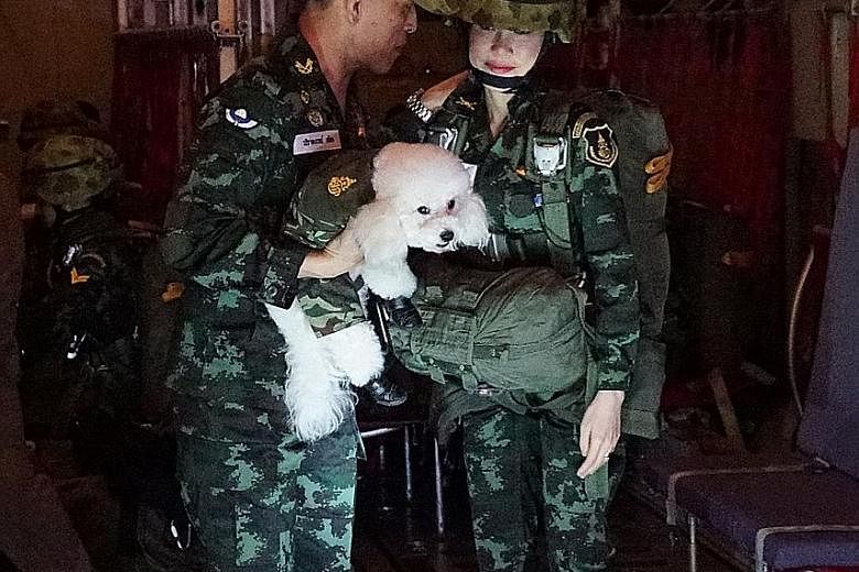 (From left) Thailand's King Maha Vajiralongkorn, carrying the royal pet poodle, with Maj-Gen Sineenat Wongvajirapakdi; Maj-Gen Sineenat, 34, at the controls of a light aircraft; and the king with Maj-Gen Sineenat, who he named Royal Noble Consort on 