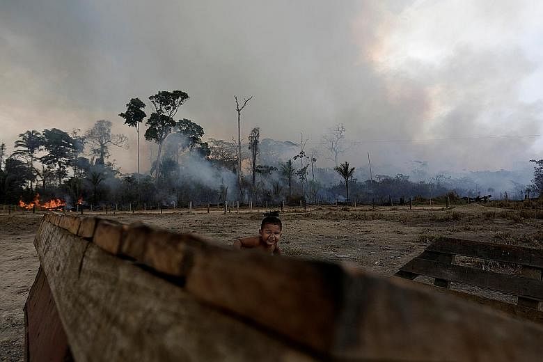Fish exposed by forest fires in Otuquis National Park in the Pantanal eco-region of south-eastern Bolivia, on Tuesday. PHOTO: AGENCE FRANCE-PRESSE A child playing as a fire burns a tract of Amazon jungle being cleared by loggers and farmers near Port