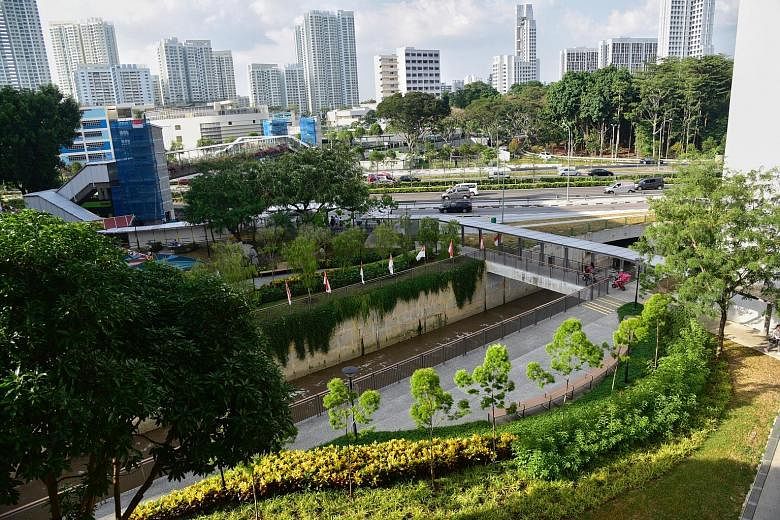 One of the three new rain gardens at the upgraded Sungei Pandan Kechil. The gardens slow down and treat surface run-off of water from the drains of HDB blocks before its discharge into the canals.