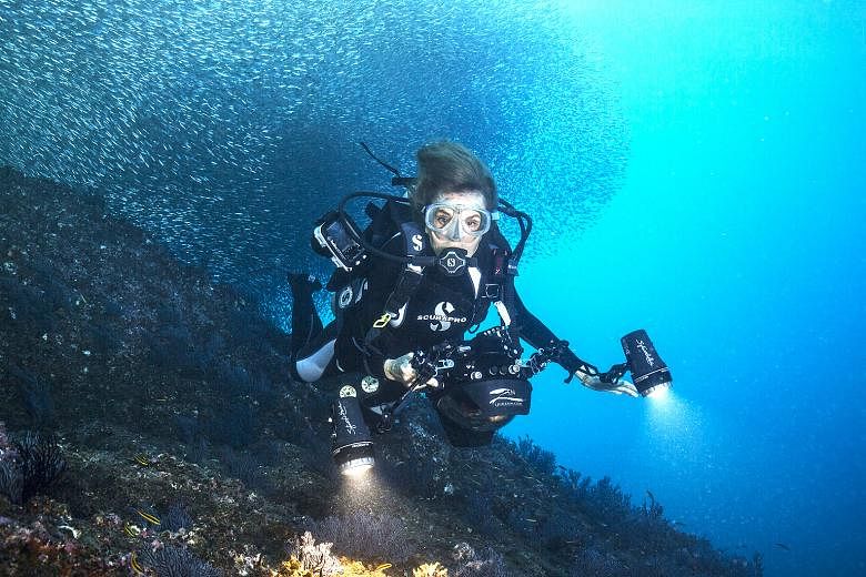 Dr Sylvia Earle's love affair with the ocean started when she was three years old, Now 84, she is working on the third atlas of the oceans, still globetrotting, inspiring people to save the planet, and diving.