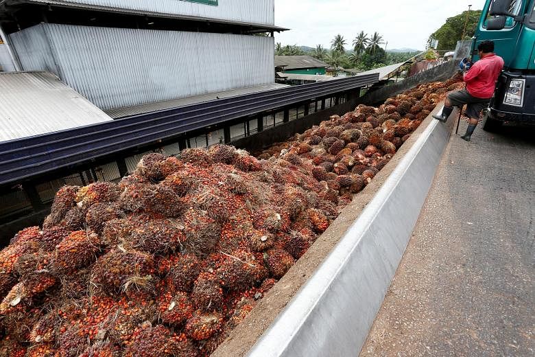 Malaysia is diversifying into food crops and poultry farming as part of plans to help the country's land settlers raise their income, by lowering their dependency on palm oil and rubber. The move comes as prices of tropical fruit and vegetables rise 