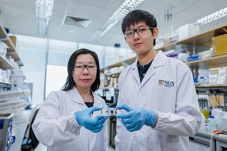 Assistant Professor Shao Huilin and doctoral student Noah Sundah with the Stamp microfluidic device that they and their team developed. The technology can detect and classify cancer cells, as well as determine the disease's aggressiveness. Patients a