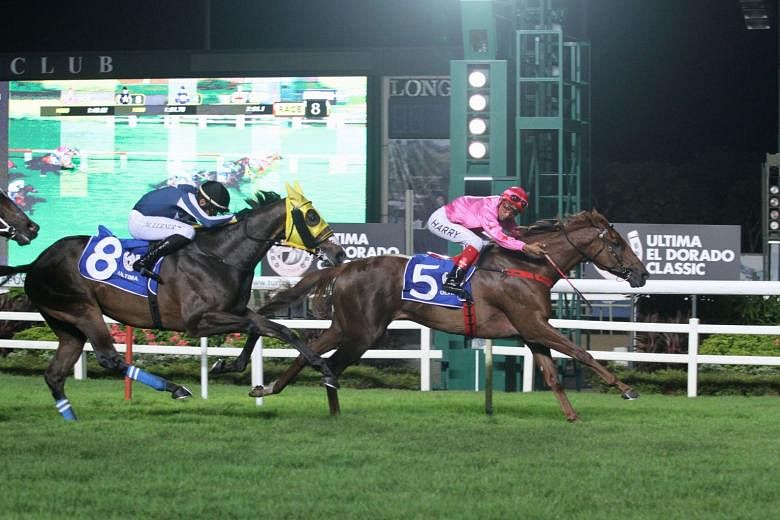 I’m Incredible’s jockey A’Isisuhairi Kasim looking back after crossing the line first from Star Jack in the $150,000 Group 3 Ultima El Dorado Classic over 2,000m in Race 8 at Kranji last night. 