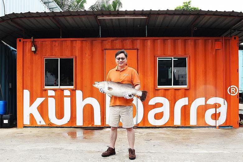 Mr Kwan's investment firm owns Barramundi Asia, which sells the increasingly popular fish under the Kuhlbarra brand.