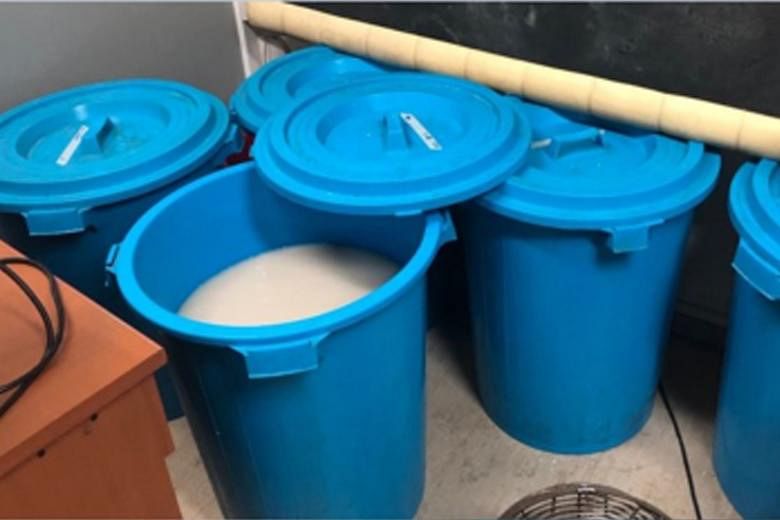 A raid on a Bukit Batok flat found pails containing fermenting mash (above), a still for distilling liquor (below, left) and a porcelain jar filled with contraband liquor.