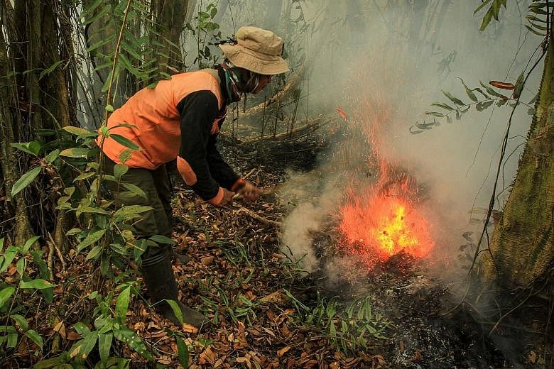 Left: A fire burning in Palangkaraya, in Central Kalimantan, on Monday. An online report at the weekend said fires had been detected in concessions belonging to pulp giants Asia Pacific Resources International Holdings and Asia Pulp and Paper. The th
