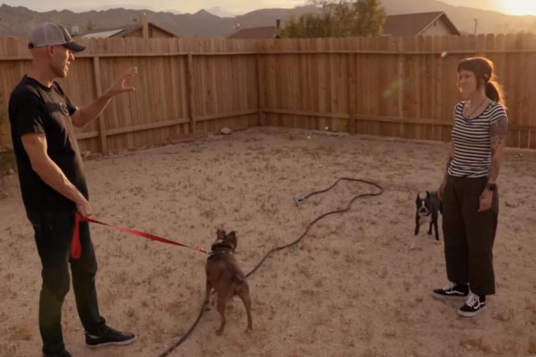 Dog Impossible's Matt Beisner on the five common mistakes dog owners make The Straits Times