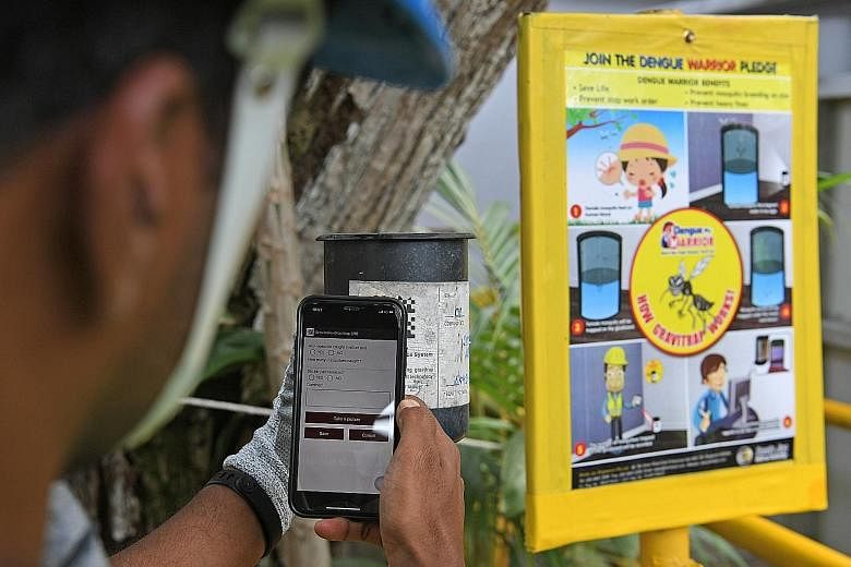 A construction worker using a phone app to monitor the mosquito population in a Gravitrap cylinder at the Tanjong Katong MRT station worksite yesterday.