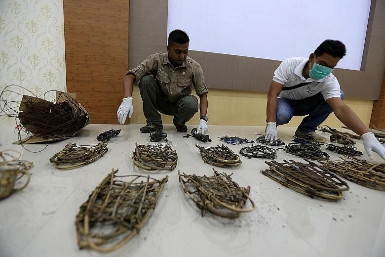 Agents from the Aceh Natural Resource Conservation Agency showing confiscated illegal traps made by poachers. The new punishment is expected to come into effect early next year and could see people convicted of endangering or exploiting wildlife rece
