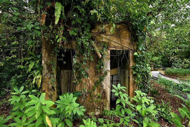 Remnants of village life, like this kampung hut, can be found along the trails in the park. 