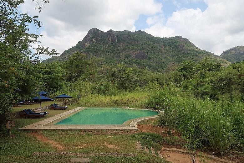 The swimming pool at Gal Oya Lodge.