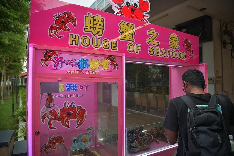 The machine's metal claws are covered with plastic to soften the grip on the crabs. The tank is also elevated and cushioned to minimise the impact of a drop, said House of Seafood chief executive Francis Ng. Since the claw machine's launch at House o