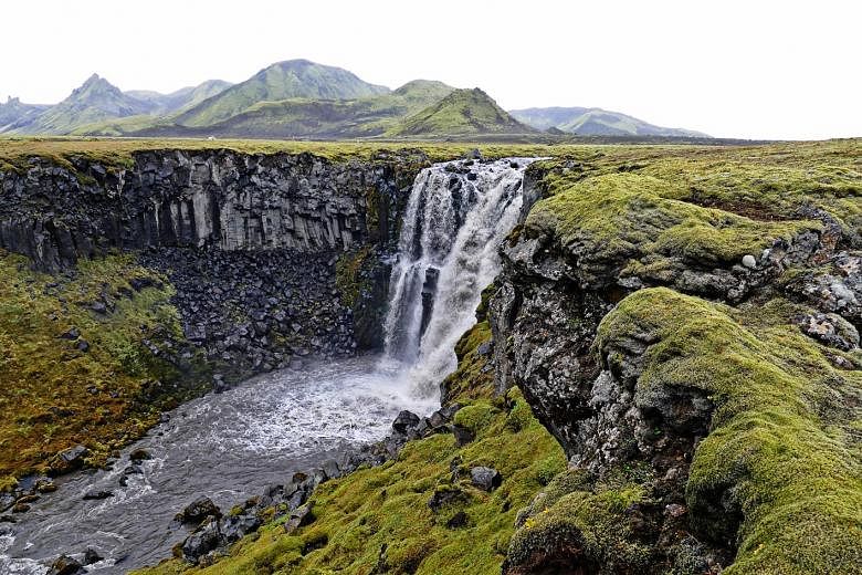 A majestic waterfall along the Laugavegur trail in the Southern Highlands of Iceland.