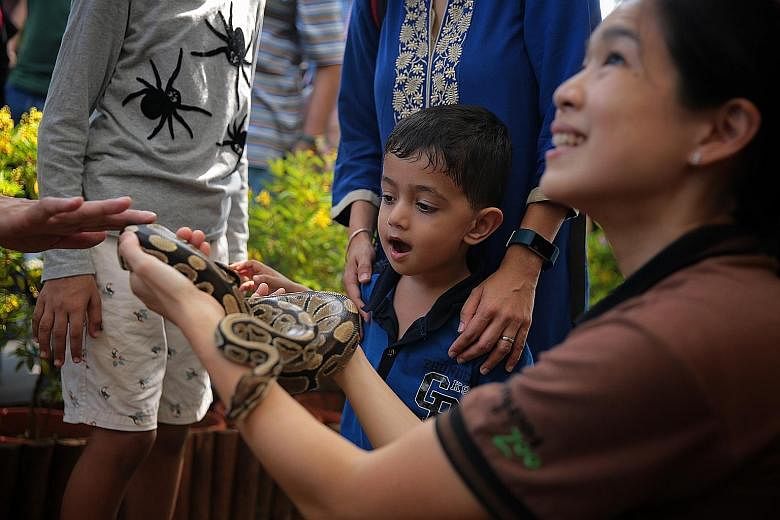 Above: A child getting up close with a snake at the Wildlife Reserves Singapore booth at the Istana open house yesterday. Left: Pupils from Zhenghua Primary School performing an Indian dance at the open house.