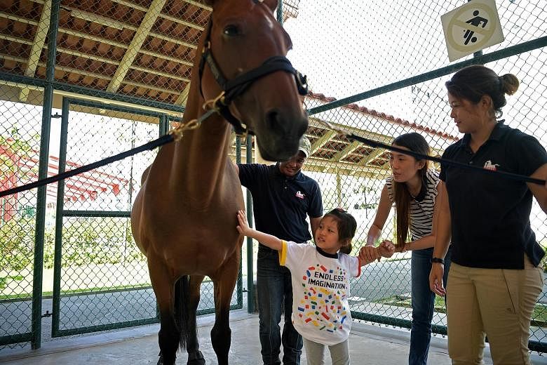 Janice Png, four, who has autism spectrum disorder, being led by her mother, Ms Koh Ming Hui, 32, as she strokes a therapy horse during the launch of Wednesdays With Horses - a horse therapy programme that aims to help people with special needs open 