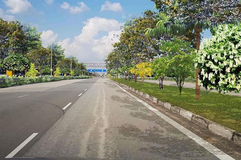 Above: An artist's impression of trees lining Banyan Avenue on Jurong Island, under a greening initiative to plant 30,000 trees on the island. Left: The existing road. PHOTOS: JTC, NPARKS