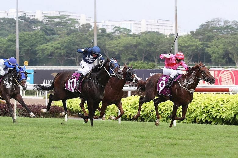 I'm Incredible (in pink) fending off King Louis in the Queen Elizabeth II Cup over 1,800m on Oct 20. King Louis can turn the tables in the Dester Singapore Gold Cup tomorrow. 