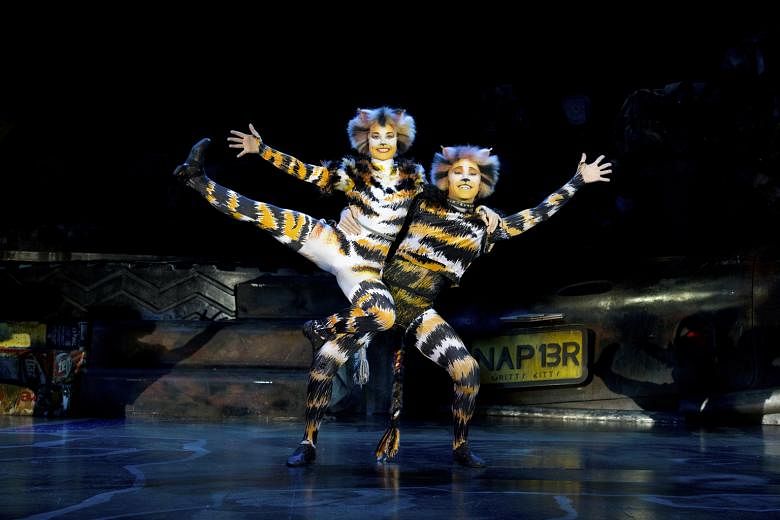 Cats will run from Dec 17 to Jan 5 at Sands Theatre, at Marina Bay Sands. It is one of the longest-running shows in West End and Broadway history, and has been staged in over 30 countries. It has been seen by more than 81 million people worldwide. 