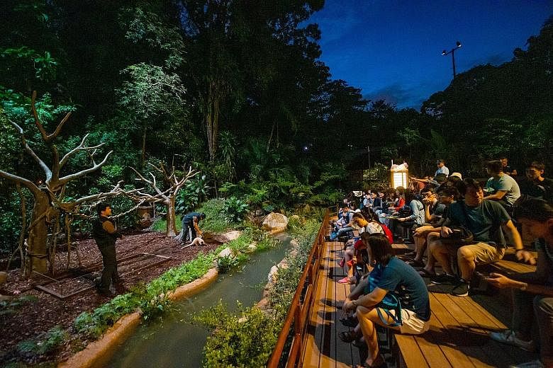 Night Safari visitors can meet a host of animals, such as the Sunda pangolin, binturong, serval and other nocturnal animals, at the Keeper Talk sessions on Friday and Saturday nights.