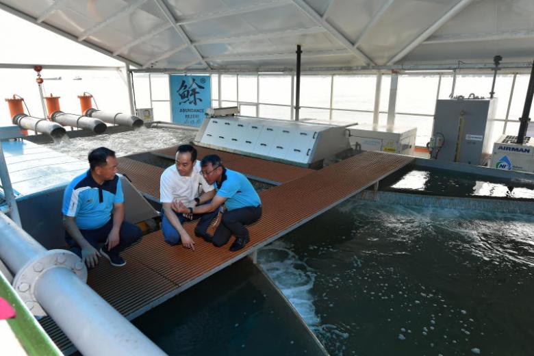 New floating closedcontainment fish farm EcoArk can produce up to 20