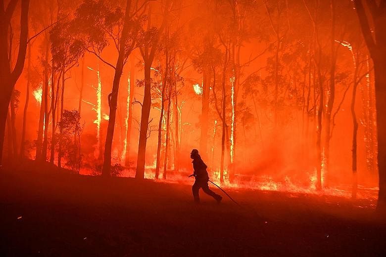 A firefighter working to protect a school from the Gospers Mountain fire near Colo Heights, south-west of Sydney, on Tuesday. PHOTO: REUTERS