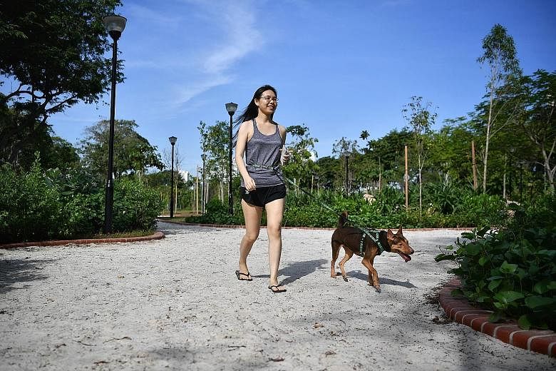 Walking one's dog can be a good workout for the owner as well as the pet. The Brandeis University study found that discounting physical exercise, even the least active participants were found to sleep better on some days when they took more steps. ST