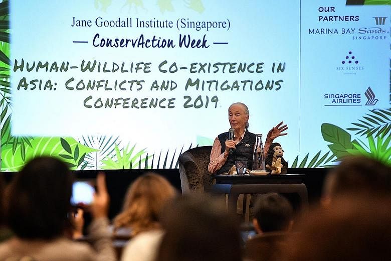Dr Jane Goodall speaking at the Human-Wildlife Co-Existence in Asia: Conflicts and Mitigations Conference 2019 at Marina Bay Sands Expo and Convention Centre yesterday. The renowned primatologist discussed the pressing issue of human-wildlife conflic