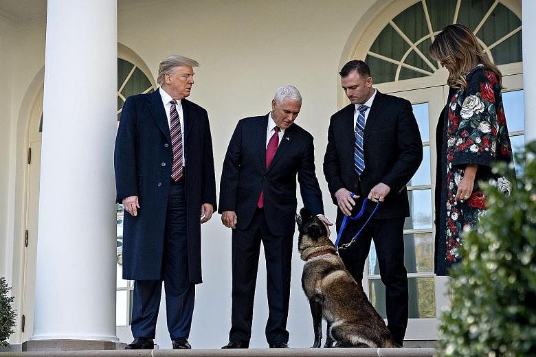 (From left) United States President Donald Trump, Vice-President Mike Pence, a handler and First Lady Melania Trump with military service dog Conan at the White House on Monday. PHOTO: BLOOMBERG