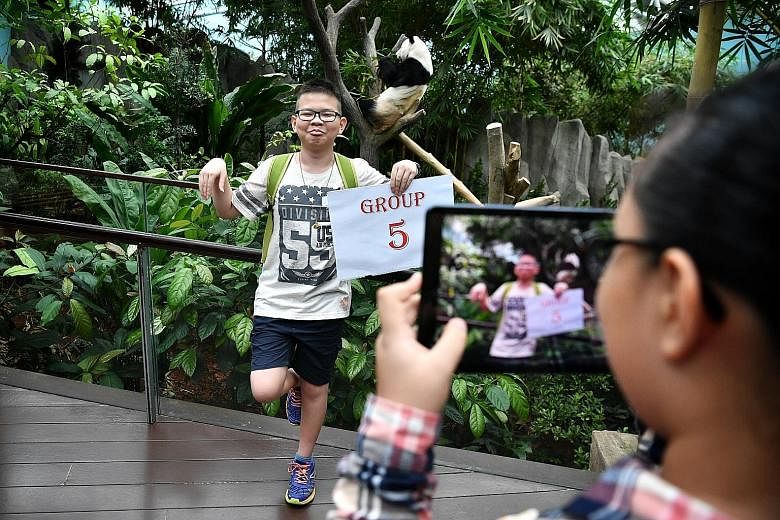 Justin Sim striking a Kung Fu Panda pose at the panda exhibit, one of the tasks during a scavenger hunt planned by ST journalists yesterday.