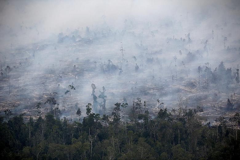 Smoke covering a forest in Central Kalimantan on Sept 30. The Indonesian fires have been blamed for increasing greenhouse gas emissions and deforestation. This year's fires were the worst since 2015, when 2.6 million ha of land was burned.