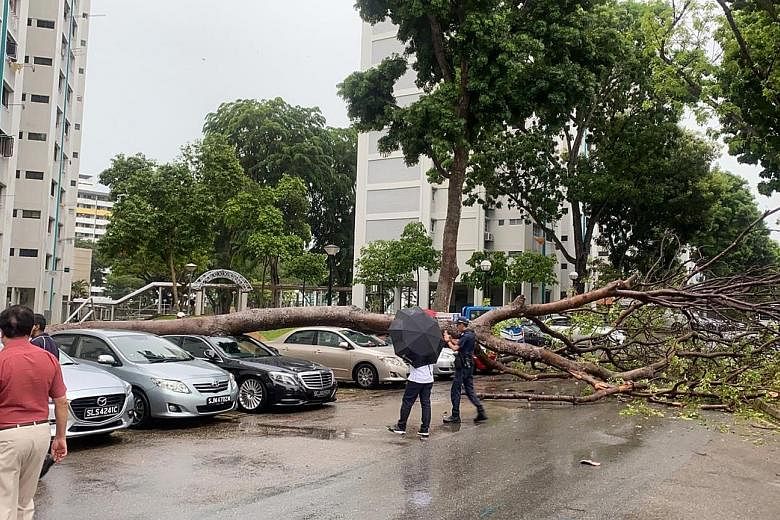 Heavy rain and strong winds hit parts of Singapore yesterday, stalling traffic and causing a tree to fall on a parked car. The incident in a Bedok North housing estate drew a crowd with their camera phones, said supermarket manager Joel Mabeo, 35, pa