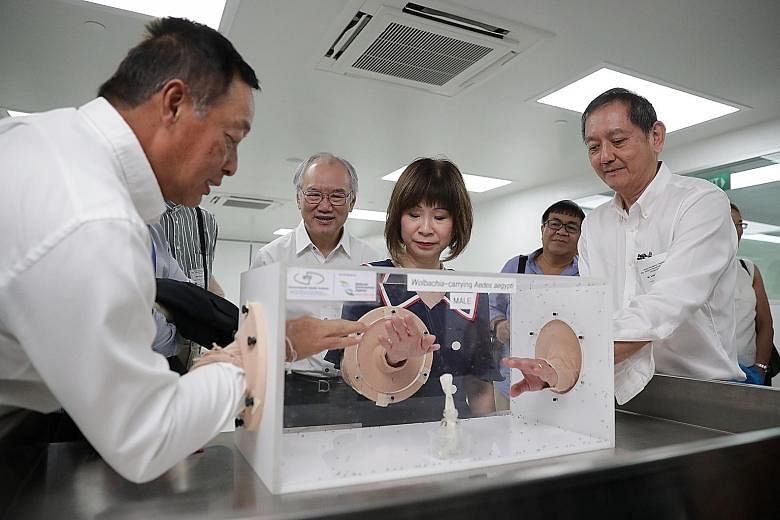 Senior Minister of State for the Environment and Water Resources Amy Khor putting her hand into a box full of male Wolbachia-Aedes aegypti mosquitoes, which do not bite, at the launch of NEA's new facility yesterday. With her are (from left) NEA boar