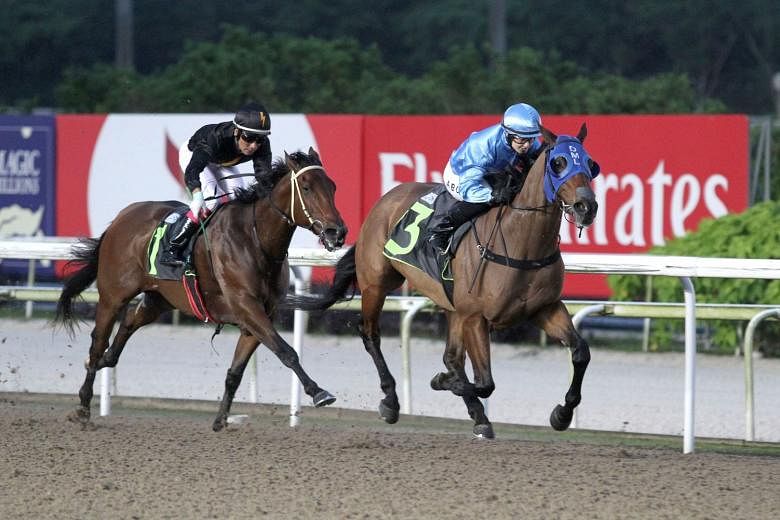 Gamely breaking through at his 21st start for his maiden victory with jockey Alysha Collett astride in Race 2 at Kranji last night. He beat the $12 favourite Simba.