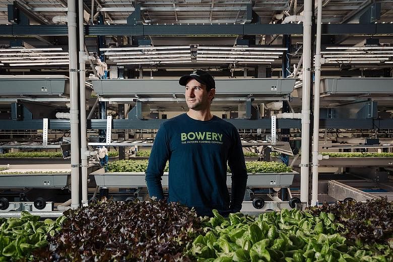 Bowery Farming chief executive Irving Fain says the firm aims to control the entire farming process "from seed to store".