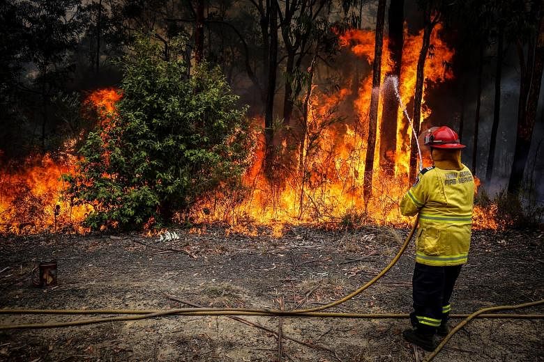 A Rural Fire Service volunteer fighting a fire during backburning operations in bushland near the town of Kulnura in New South Wales, Australia, last Thursday. More than 20 medical groups released a joint statement yesterday calling on the Australian