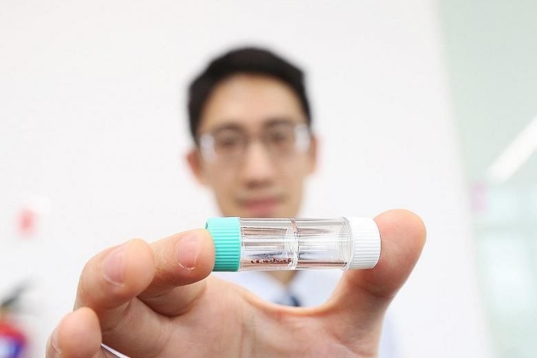 Left: National University of Singapore Assistant Professor John Ho (in white shirt) and PhD student Dong Zhenya with a prototype of the wireless reader their team created to easily read signals from microsensors less than 1mm long. They also develope