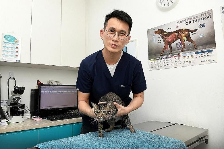 Veterinary surgeon Don Goh in his clinic. He estimates that for dogs with cancer, each chemotherapy session can cost between $500 and $700.
