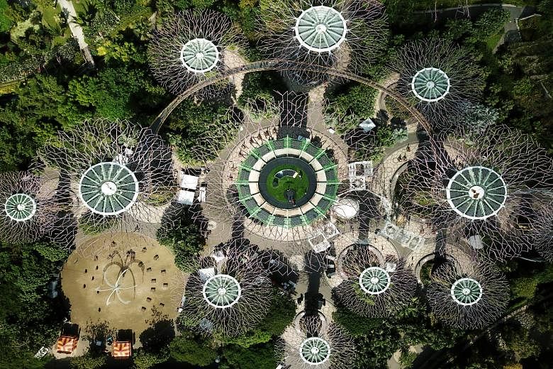 Gardens by the Bay opened its new Supertree Observatory to the public yesterday. It has a lower air-conditioned deck and an upper open-air rooftop. The observatory space was previously occupied by restaurant IndoChine. The space took about six months to b