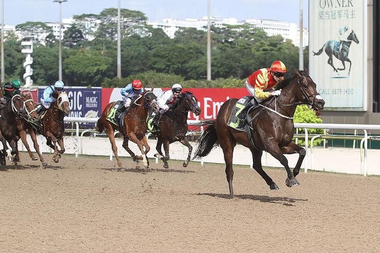 Altair, with champion jockey Vlad Duric astride, sprinting home for his third win from just four starts at the New Year's Day meeting at Kranji. More wins are in store for the Mark Walker-trained horse.