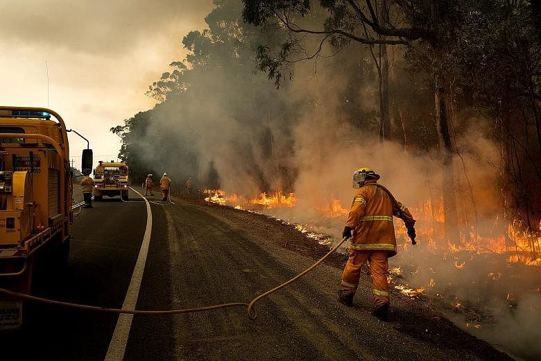 Volunteer firefighters tending to a controlled burn along Princess Highway in Australia's Meroo National Park on the New South Wales South Coast on Sunday to create a fire break. Recent rain has hampered efforts to complete such strategic burns as mo