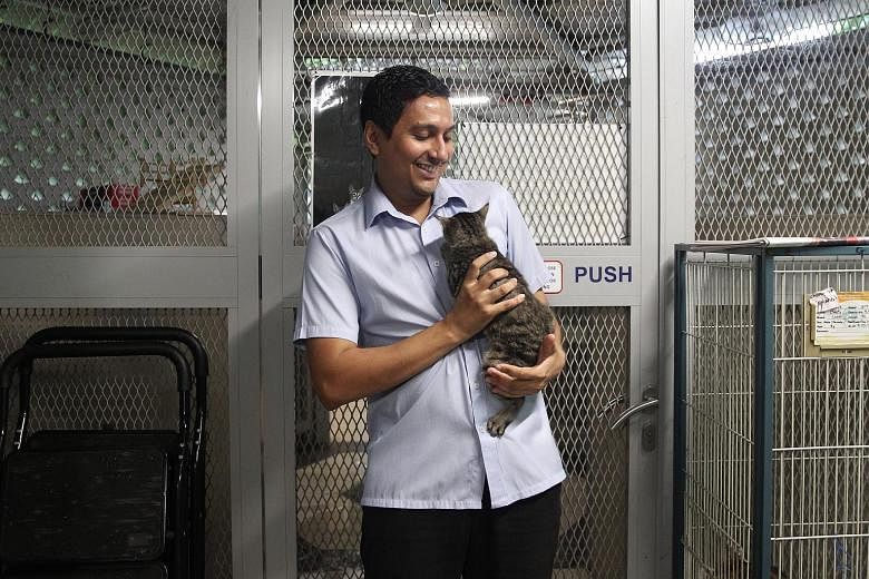 Dr Jaipal Singh Gill, executive director of the Society for the Prevention of Cruelty to Animals (SPCA), with one of the cats at the SPCA. Dr Gill said the state of animal welfare in Singapore has improved over the years.