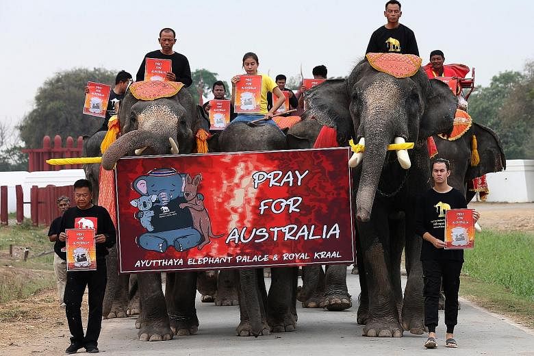 Activists and elephants marching at an elephant camp in Ayutthaya, Thailand, yesterday to raise awareness of wildlife affected by Aussie bush fires. PHOTO: EPA-EFE